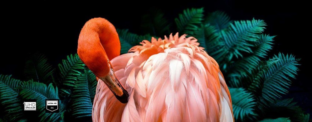 Hisense H65A6140 Ultra HD rozlišení